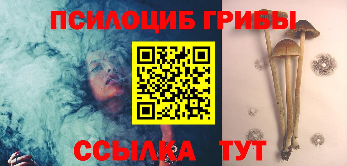 Псилоцибиновые грибы Psilocybe Нягань